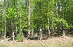 134 WINSTON PLACE, DANIELS, WV 25832