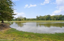 6234 Cheyenne Drive, Olive Branch, MS 38654