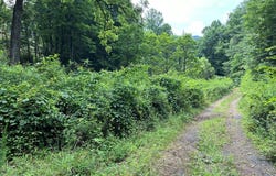 Bates Creek Road, Murphy, NC 28906