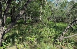 232 Mokulua Ln, Bastrop, TX 78602