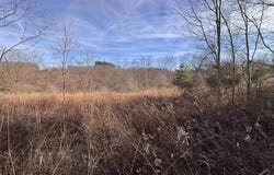 Barbour County Highway, Philippi, WV 26416
