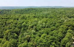 on Gage Road, Munising, MI 49862