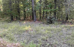 Jerry Ln. lot: 45 & N/2 46, Quitman, AR 72131