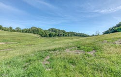 Treadway Trail, Telford, TN 37690