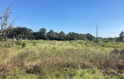 Hwy 190, Eunice, LA 70535