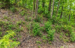 Ragans Pointe, Columbus, NC 28722