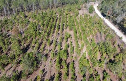 Live Oak, FL 32060