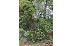 Dogwood drive, Murchison, TX 75778