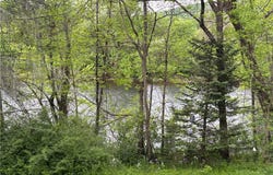 473 County Highway 48, Oneonta, NY 13820
