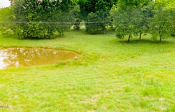 3431 Old Reagan Road, Sardis, TN 38371
