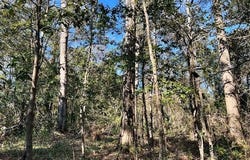 7940 LeBaron Avenue, Citronelle, AL 36522