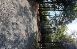 7412 Pierce Road, Ozark, AR 72949
