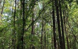 Attala Rd 2247, Ethel, MS 39067