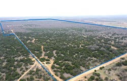 CR 139, Bangs, TX 76823