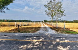 10700 State Highway 38, Elkland, MO 65644
