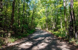 River Road, Shirley, AR 72153