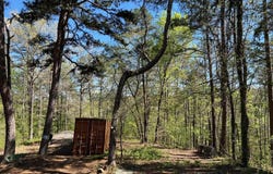 233 White, Clinton, AR 72031