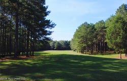 2788 Highway 16, Carthage, MS 39051
