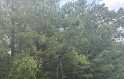 3063 Hamlin Road, Lizella, GA 31052