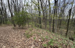 5241 Moscow Road, Spring Arbor, MI 49283