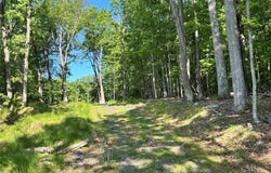 S Plank Road, Westtown, NY 10998