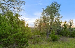 32000 Mirela Ann Rd, Dripping Springs, TX 78620