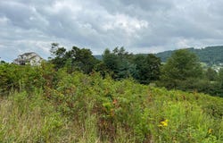 Fairway View Drive, Peterstown, WV 24963