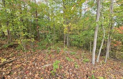 01 SE Headrick Circle, DALTON, GA 30721