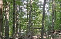 Figg Road, Frankfort, MI 49635