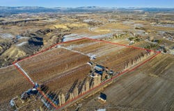 20813 Nowhere Road, Eckert, CO 81418