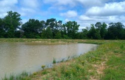 TRACT 7 HWY 990, Simms, TX 75574