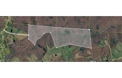 N Of Deer Lodge Hwy, Deer Lodge, TN 37726