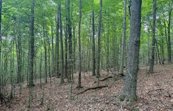 Cole Hill Rd., Russell, PA 16345
