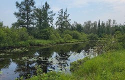 12.55 Acres Juniper Way, Grayling, MI 49738-9199