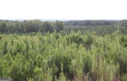 Balerma Church Road, Sparta, GA 31087
