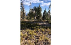Shaver Lake, Auberry, CA 93602