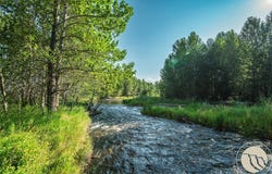 31 Painted Lane, Roberts, MT 59070