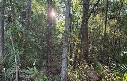 V/L 21 Lighthouse Circle, Woodbine, GA 31569