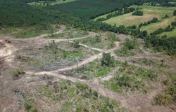 40 Acres W376, Langley, AR 71952