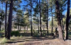 240 Oak Ranch Rd, Lewiston, CA 96052