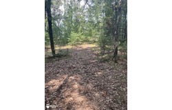Eagle Nest Lane, Alger, MI 48610