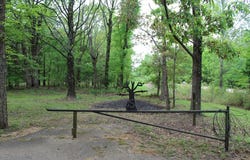 23206 HWY 310, COMO, MS 38619