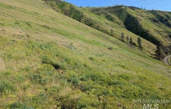 Clearwater Drive, Juliaetta, ID 83535