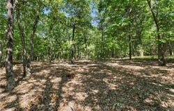 686 Palisade Trail, Denton, NC 27239