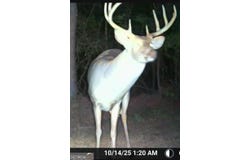 2501 Dennis Road, Macon, GA 31220