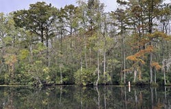 Hwy 45N, Plymouth, NC 29762
