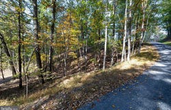 DAWN Drive lot: 330, BASYE, VA 22810