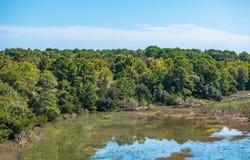 Wadmalaw Island, SC 29487