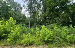 Ted Logsdon Road, Clarkson, KY 42726