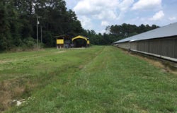 Bladenboro, NC 28320